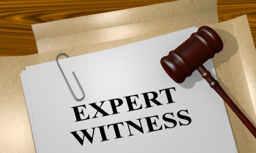 expert witness services