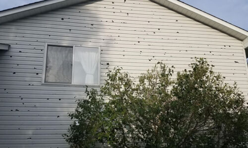 hail damage to roof systems